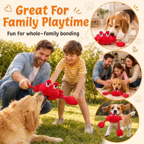 Squeaky Dog Plush Chew Toy, Interactive Tug Squeaky Toy for Chewers, Medium & Large Dogs & Fetch Play, 18.1 Inch Stuffed Crab Toy with Rope Twisted Claws for Gentle Gum Care & Boredom Relief, Red - color: Red (Crab)