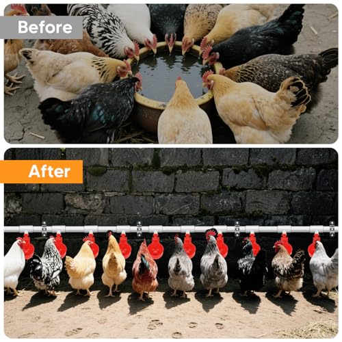 12 Pack Automatic Chicken Water Cups, Complete Set Pipeline Automatic Chicken Waterer System Poultry Waterer for Chick Duck Quail