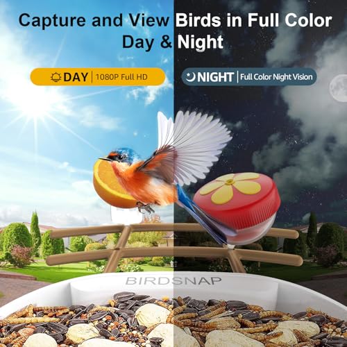 birdsnap® PAV Bird Feeder with Camera Solar Powered 2K Live Video 64GB Card | AI Bird Species Identification, Instant Arrival Alerts, IP65 Waterproof, Wild Bird Feeders for Outdoors, Gift for Bird Lovers - color: Light Brown