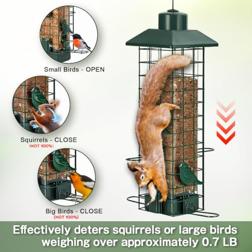 Gbekery Squirrel Proof Bird Feeder, Metal Mesh Feeders for Outdoors Hanging, Gravity Protection Wild Bird Feeders for Finch Chickadee, Weather Resistant, 3LB Large Capacity, Green - color: Green Square