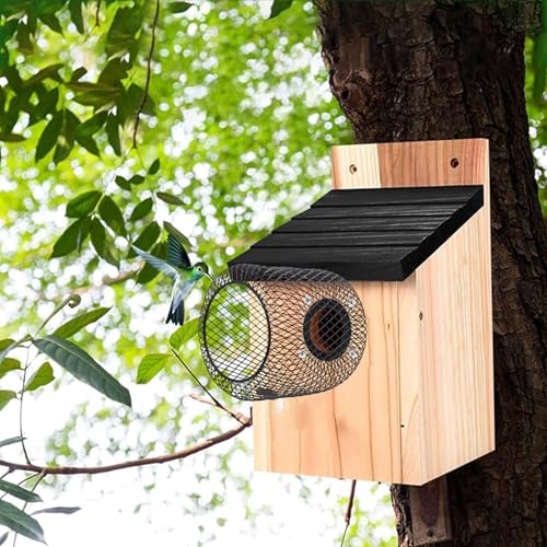 Bluebird House Protector Guards, Black Iron Mesh Protector | Bird House Entrance Hole Protector to Keep Predators Out, Lantern Shaped Smooth Edges