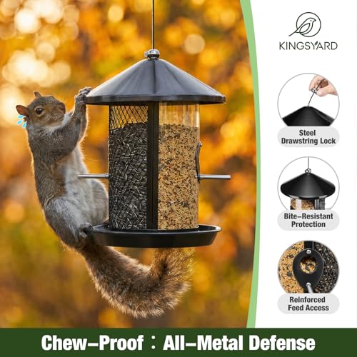 Kingsyard Metal Bird Feeders for Outdoors Hanging, Tube Bird Feeder | 4 lbs Capacity, Dual Chamber Design, 2 perches & 360 Degree Perch, Weatherproof, Chew-Proof, Easy to Clean & Refill, Black