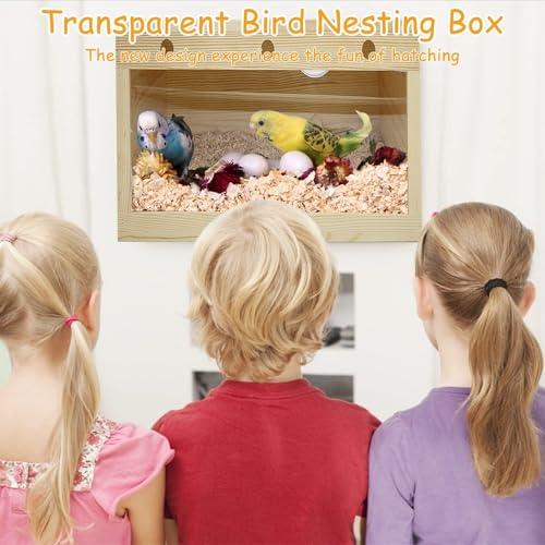 PINVNBY Large Natural Wood Parakeet Nesting Box Budgie Breeding Box Acrylic Bird Nest for Cage Transparent Panoramic for Birds, Parrots, Cockatiels, Lovebirds, Canaries (XL: 13.3 x 7.8 x 7.08 inch) - size: XL: 13.3 x 7.8 x 7.08 inch