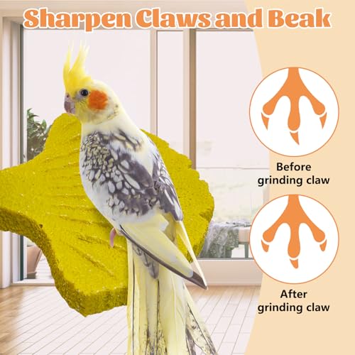 3 Pcs Parrot Perch Resin Bird Beak Grinding Stone Leaf Shape Perch Stand Foot Clawing Trimmer Bird Cage Accessories for Cockatiels Conures Budgies Lovebirds (Yellow) - color: Yellow, size: Ginkgo leaves