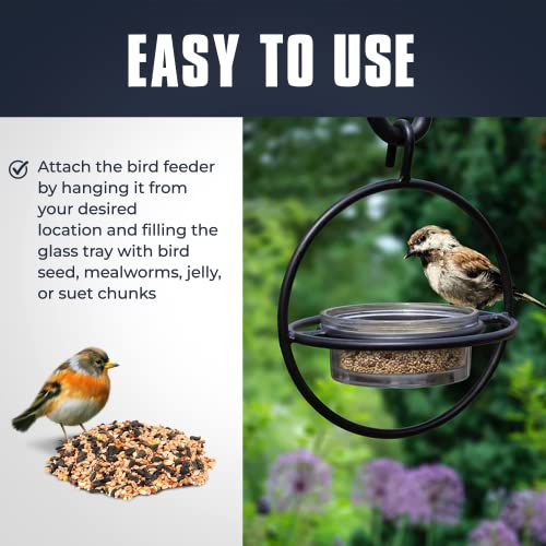 Monarch Abode Hanging Bird Feeder for Outdoors – Hanging Zazu Birdfeeder with Clear Glass Bowl & Metal Perch for Small Birds, Matte Black Decorative Wild Bird Feeder for Outside Garden Patio Deck Yard - color: Black, style: Glass Bird Feeder