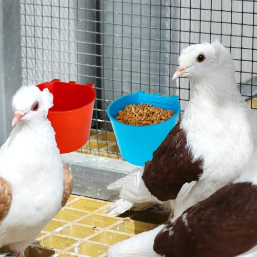 10 Pcs Cage Cups Birds Feeders Bowl Chicken Feeding Watering Dish Hanging Wire Cages Box Coop Cups for Pet Parrot Parakeet Gamefowl Poultry Pigeon and Quail（Blue and Red） - size: 10 pcs