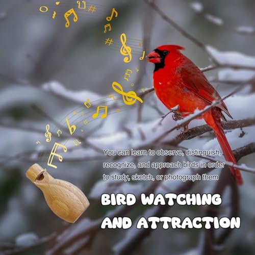 ZDH 9-Piece Wooden Bird Call Set – Handcrafted Bird-Call in Glass Wooden Box for Birdwatchers, Nature Lovers, Outdoor Exploration & Education All - size: Glass lid-5.9*5.9*3.9inch