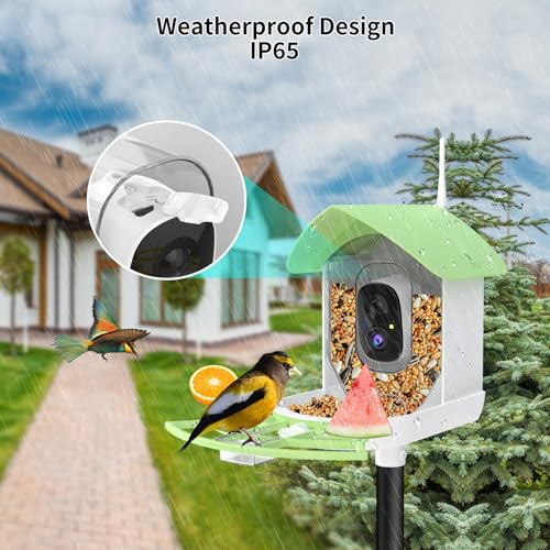 Bird Feeder with Camera,Smart AI Birds Breed Recognition,Birds Motion Detection with Real-Time Notice,Auto Capture Bird Watching WiFi Camera,Solar-Powered Outdoor Charging Bird House,Ideal Gifts,Green | Auto records FHD videos of birds in your backyard,In