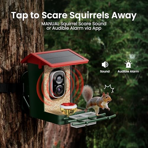 Smart Bird Feeder with Camera Solar Powered, 2K HD Video, AI Bird Species Identification, Instant Arrival Alerts, Weatherproof Design for Effortless Birdwatching, Best Gift for BirdLovers, Red - color: Green-Red
