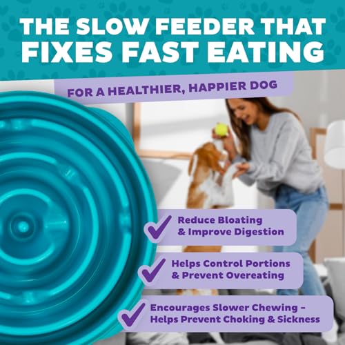 Outward Hound Fun Feeder Slo Bowl – Large 4‑Cup Capacity,Slow Feeding,Medium to Large Dogs,Non‑Slip,Turquoise,Drop Pattern,(Pack of 6) - color: Turquoise, size: Large (Pack of 6)