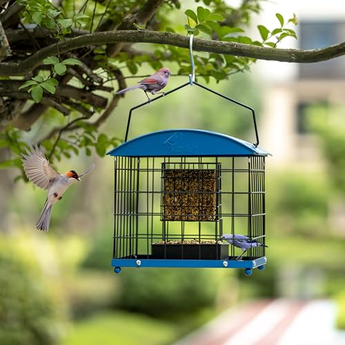 Caged Suet Bird Feeders Squirrel-Proof, Dual-Purpose Suet &Seed Wild Bird Feeders with Tray, Starling-Proof Metal Caged Bird Feeders Outdoors Hanging, 2 Suet Cakes+1lb Seed Capacity, Blue