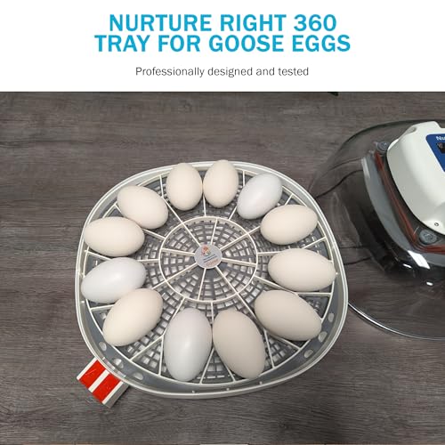 Durable Egg Tray for Nurture Right 360 Incubator 11 Large Goose Turkey Eggs