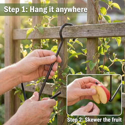 Premium Oriole Feeder for Outdoors & Indoor Plant Accessories, Black Metal Fruit Holder Dual-Prong Hanger Hook for Garden Birding, Air Plants Display, Patio Decor