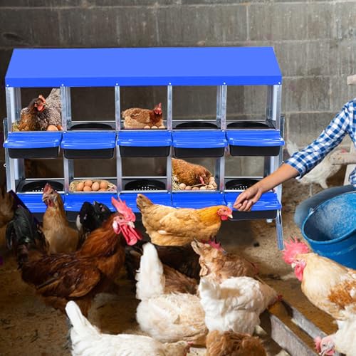 GarveeHome 2-Tier Chicken Nesting Box, 10 Compartment Metal Chicken Laying Boxes with Waterproof Roof ＆ Removable Trays for Hens, Poultry，Easy Egg Collection - color: Blue, size: 53.5"L x 16.9"W x 26.6"H