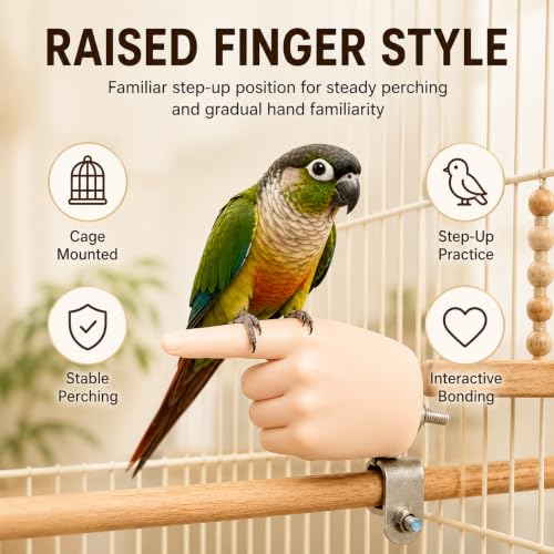 Hand-Shaped Parrot Perch for Bird Cage, Washable Desensitization and Step-Up Training Stand with Secure Screw Mount, Adult Hand Proportions - size: Open Palm