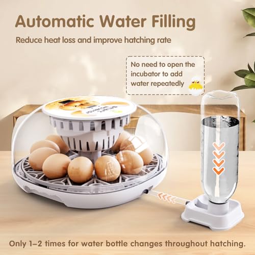 Incubators for Hatching Eggs Quail Egg Incubator 12 Eggs with Automatic Egg Turning and Humidity Control 360° Viewing for Chicken, Ducks, Goose, Pigeon for Lab Farm and Home
