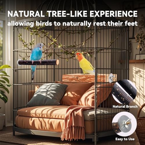 Bird Toys Parakeet Perch Budgie Perch Wood Stand Fork Toys Multi-Branch Perch Platform Toy for Small Conures,Cockatiel,Parrotlet,Lovebird,Parrot,Finches