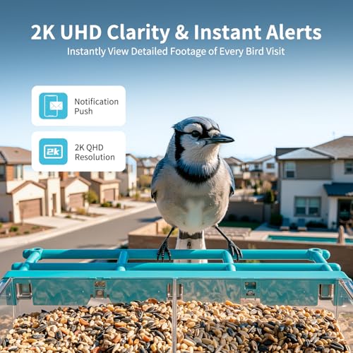 2026 Upgraded Window Bird Feeder with Camera, 2K UHD Window Bird Feeders for Outdoors with Strong Suction Cups, 2.4G & 5G WiFi, AI Bird Identification, 24/7 Local Recording - Perfect for Bird Watching