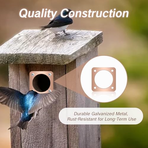 4 Pieces Birdhouse Predator Guard Copper Portal Metal Protector for Eastern Bluebird Houses 1 1/2 Inch Hole Guardian Baffle Mounting for Wren and Snake Defense(Rose Gold)