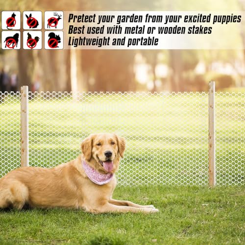 Upgraded 15.7IN x 33FT ABS Plastic Chicken White Wire Fence Mesh, Poultry Fencing, Hexagonal Fencing Wire for Gardening, Construction Barrier Netting, Chicken Wire Frame Crafts, Floral Netting - color: White