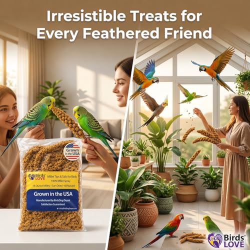 Birds LOVE® Millet Tips & Tails for Birds – Premium Spray Millet Treat, Grown in the USA – Natural & Healthy Bird Food for Parakeets, Cockatiels, Budgies, Lovebirds, Finches, Canaries & Parrots – 1 lb