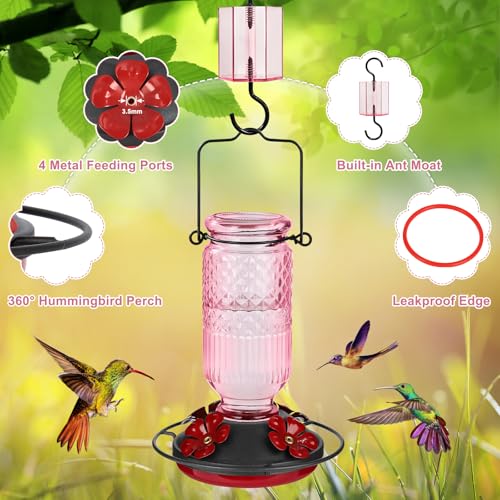 Glass Hummingbird Feeder for Outdoors Hanging, 16 oz Leak-Proof Nectar Feeder with Bee Guards & Ant Moat, 4 Metal Flower Feeding Ports, 360° Perch Ring, Easy Refill & Clean, Pink - color: Pink