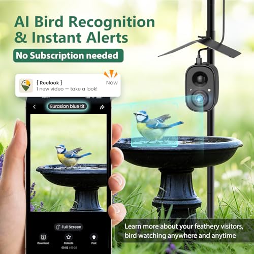 Smart Bird Camera Solar Powered with Pole for Feeder/Bath Birdwatching | 2.5K UHD Video Auto Capture, Free AI Bird Identification, Instant Alerts, Wireless Outdoor Cam, 2.4G, for Mom/Dad/Bird Lovers