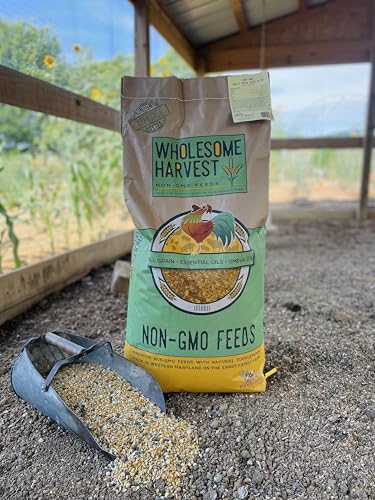 Non-GMO 40 lb Turkey Feed - Natural Peacock, Game Bird & Bird Feed, 24% High Protein Complete Food with Essential Oils, Herbs, Vitamins & Probiotics Formula for Healthy Flock Growth - size: 40 Pound (Pack of 1)