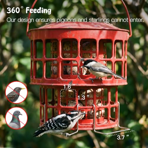 KOL All-Metal Suet Bird Feeder, Heavy-Duty Double-Layer Suet Ball Feeder for Wild Birds, 360° Feeding with Drainage Tray, Ideal for Suet Balls and Seed Cakes (Red) - color: Red