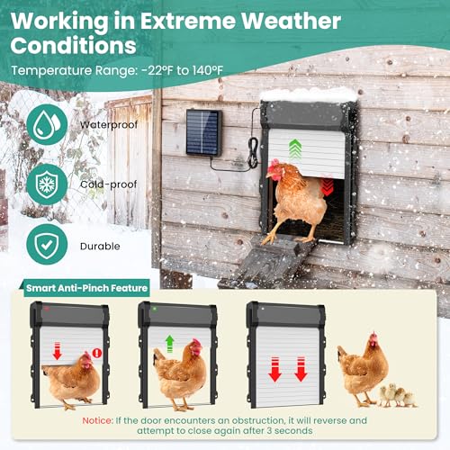 Automatic Chicken Coop Door with Timer & Light Sensor, 4 Modes Automatic chicken door with Remote Control & Anti-pinch Function, Solar Chicken Coop door with External Power Supply Connection, Outdoor
