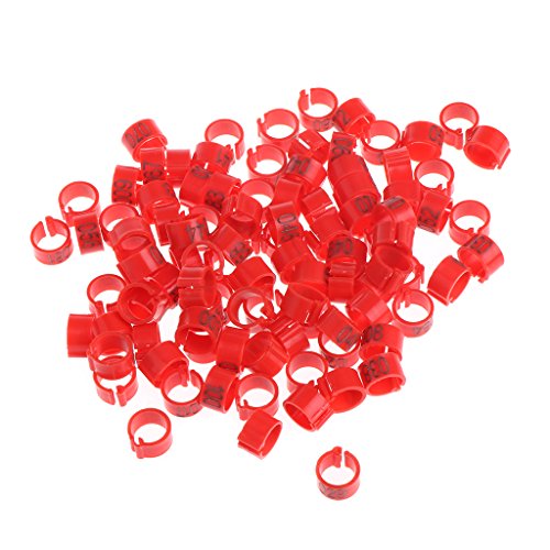100-Pack 8mm Bird Leg Bands With Numbers Pigeons Foot Bands Clip Rings For Chicken For Quail Poultry Parrot Toys African Grey For Small Parrots For Large Birds Conure Macaw Parrot Toys Parts, White