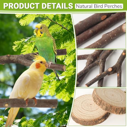 8 Pack Natural Wood Bird Perches for Cage, Wooden Parrot Perch | Wooden Parrot Stand Platforms, Hardwood Branches, Climbing & Chew Toy for Bird Cage Accessories, Ideal for Parakeets, Budgies - size: Medium Size-8 Pack