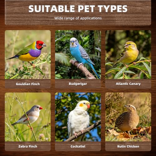 30 Pcs Solid Plastic Dummy Bird Eggs for Pet Bird Stop Laying Hatching | Offered in 3 Sizes,Set Includes Woven Nest and Pad,Suitable for Budgie,Cockatiel,Pigeon,Quail,Canary and Finch
