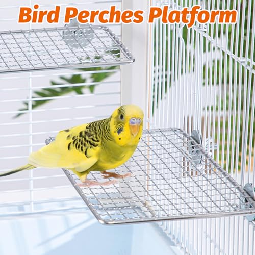 BNOSDM 2 Pack Bird Perch Platform Stainless Steel Birds Perches Parrot Shelf Training Stand Small Animals Cage Accessories for Parakeets, Budgies, Conures, Cockatiels, Lovebirds (L)