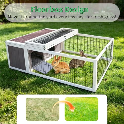 Wooden Tortoise Enclosure with Cover, Rabbit Cage Outdoor, Guinea Pig Cages | Rabbit Hutch Tortoise Habitat Chicken Coop Small Animal Hutch Enclosure, Asphalt Roof, Floorless Design-Grey & White Trim - color: Grey&White Trim-2