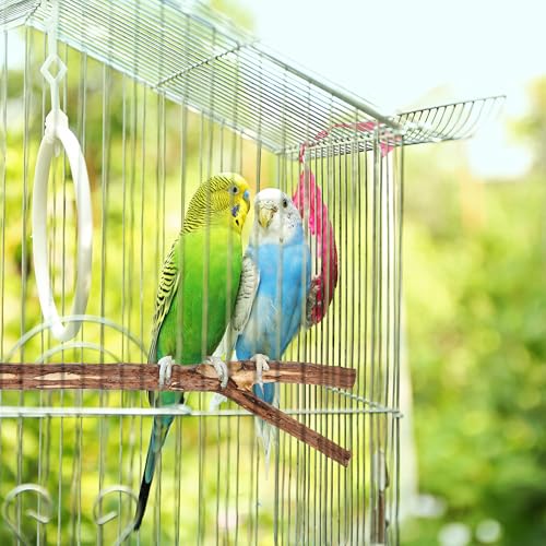 Niteangel Natural Wooden Perches for Bird Cages - Ideal for Cockatiels, Parakeets, Finches & Other Caged Birds (No-Bark, 2 Pack) - color: No-Bark
