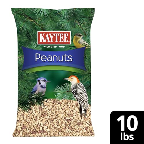 Kaytee Peanuts Wild Bird Food, High in Fat and Protein | Attract birds year-round. Bird food for outside feeders with peanut pieces. No hulls, 100% edible, nuts for birds - size: 10 Pound (Pack of 1)