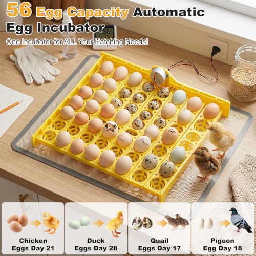 Premium Automatic Egg Incubator Hatcher with 56 Egg Capacity Automatic Egg Turner for Chickens Ducks and Pigeons Yellow Plastic 43 x 41.5 x 4.6 cm