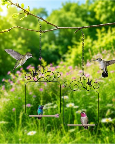 PACETAP Hummingbird Swings and Perches Metal Frame 2 Pack, Wild Bird Swing Outdoor Bird Perch with Wooden Dowel and 2 Hanging Chain for Indoor, Outdoor, Trunk, Lawn, Patio, Garden (2 Hummingbirds) - size: 2 Pack Hummingbird
