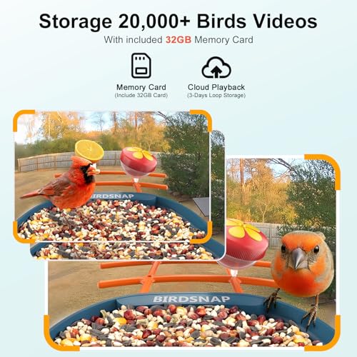 birdsnap® PAV Bird Feeder with Camera Solar Powered 2K Live Video 32GB Card | AI Bird Species Identification, Instant Arrival Alerts, IP65 Waterproof, Wild Bird Feeders for Outdoors, Gift for Bird Lovers - color: Blue