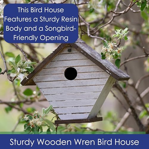 Shiplap Wren House - White Wood | 1.125-Inch Entrance Hole Sized for Wrens - Rear Clean-Out, Cable Hanger, Arrives Fully Assembled