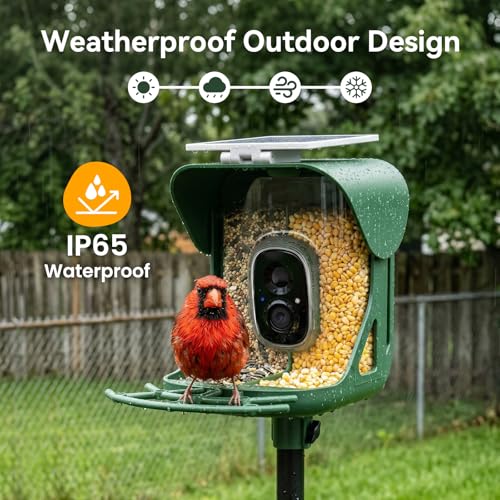 Smart Bird Feeder with Camera, 11000+ AI Bird Recognition, 2K HD Color Night Vision, IP65 Waterproof Solar Powered Bird Feeder with 142° Wide Angle, Motion Detection for Outdoor Garden, Ideal Gift