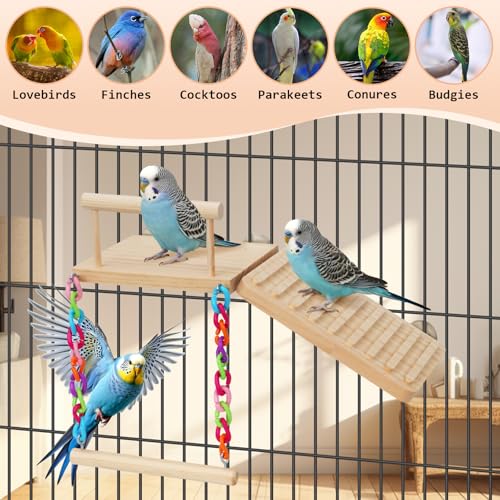 Bird Perches Platform Swing with Climbing Ladder Birds Toys Cage Accessories for Cockatiels, Lovebirds, Pacific Parrotlets,Chinchilla, Hamster Play Gym Exercise Stand