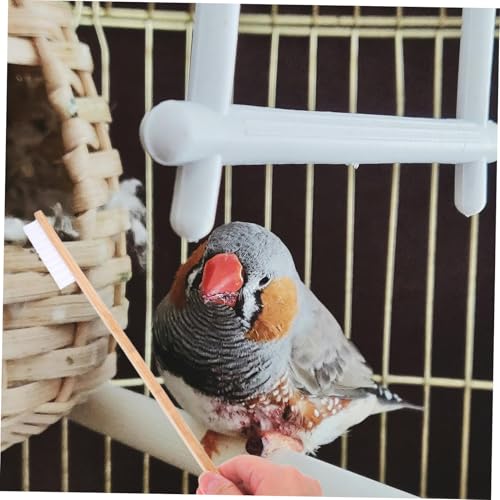 VANZACK 2pcs Bird Cage Cleaning Brush and Shovel Set Bird Poop Cleaner Tools for Small Animal Cages Easy to Use PET Cleaning Supplies