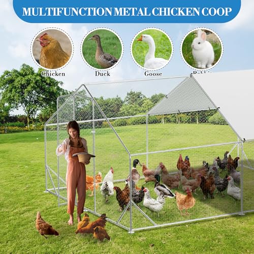 GarveeTech 6.5FT Walk in Chicken Coop Metal, Large Chicken Run with Triangular Brackets, Waterproof & Anti-UV Cover, Poultry Cage for Duck Goose Rabbit, Hen House for Yard Backyard Farm, 6.6' h - size: 9.8' x 13.1' x 6.6'
