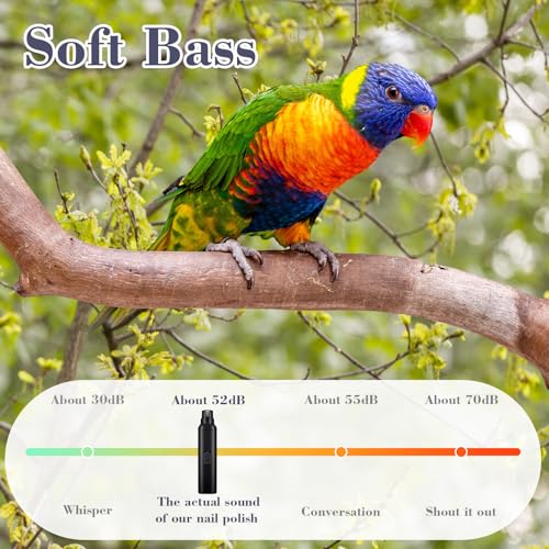 Lasnten 2 Pcs Bird Nail Grinder with Clipper Bird Nail Trimmer File Pet Grooming Tool for Parrot Budgerigars Parakeets Myna Conure Finches Lovebirds(Black) - color: Black