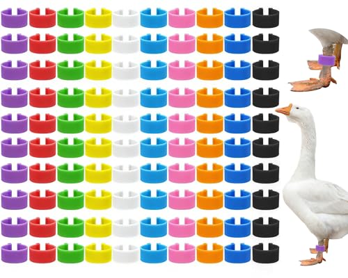 100 Pcs 25mm Colorful Numbered Duck and Goose Leg Bands with 10 Color, Extra Large Chicken Leg Rings Poultry Turkey Leg Bands Clip on Duck Ankle Tags for Turkey Goose Duck Guinea Chicken Gamefowl - size: 25mm - 100pcs