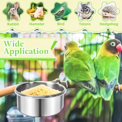 2 Pack Bird Feeding Bowls Cups Parrot Food Water Dishes, Stainless Steel Bird Bowl Cup Dish with Clamp, Birdcage Feeder Pet Cage Bowls for Parrot Cockatiel Budgie Conure Parakeet Small Animal - size: 2 Pack