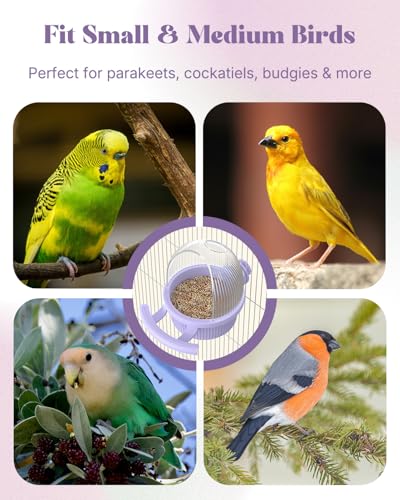 Pawfly No Mess Bird Feeder with Water Dispenser, Food and Water Bowl for Parakeet, Parrot, Cockatiel, Budgie and Lovebird, 4" D x 5.5" H Bird Cage Feeder - color: Purple