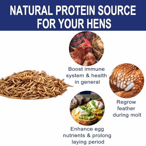 RANZ 20LBS Non-GMO Dried Mealworms for Chickens, High Protein Meal Worms, Premium Chicken Feed, Whole Large Mealworms for Blue Birds, Ducks, Fish - size: 20 Pound (Pack of 1)